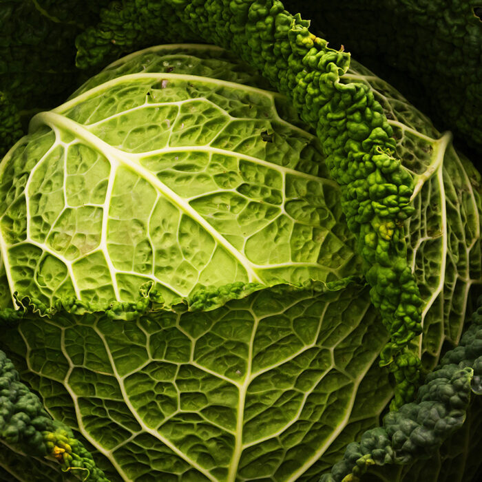 Close up image of savoy cabbage