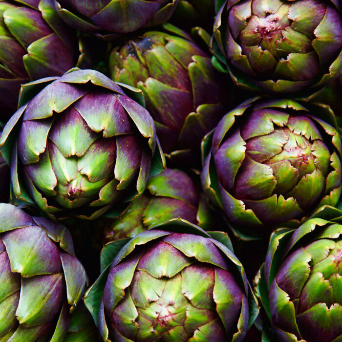 Purple artichoke hearts close up