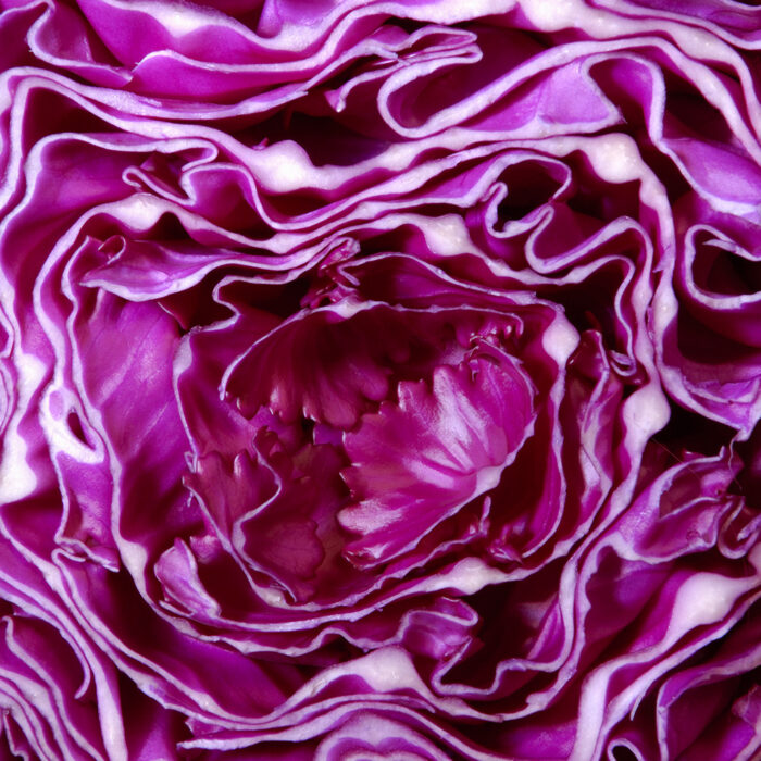 A close up show of red cabbage