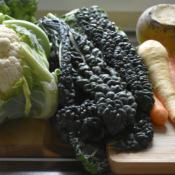 A counter top wtih cauliflower, kale, carrots, turnip and parsnips