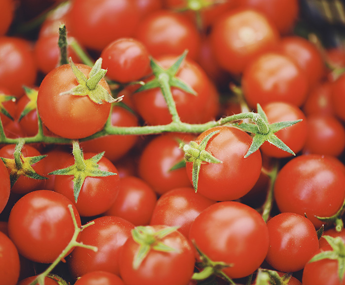 Cherry tomatoes on the vine