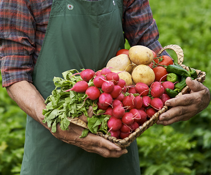 A man holding a basket of radishes, potatoes, tomatoes and chillis
